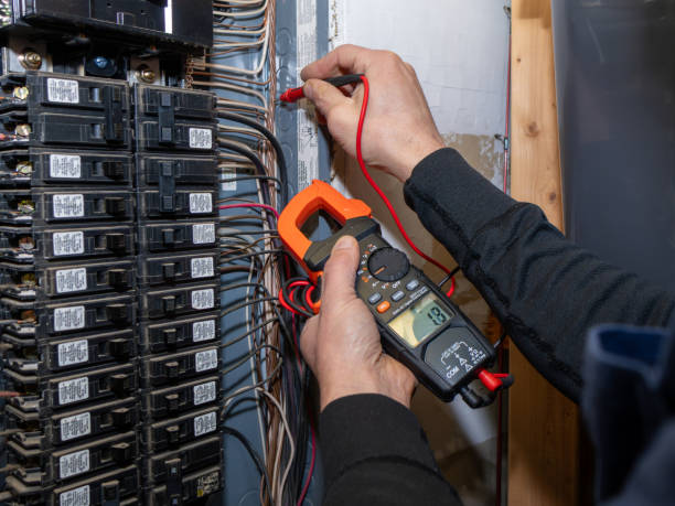 Best Home Electrical Repair  in Morrison, IL